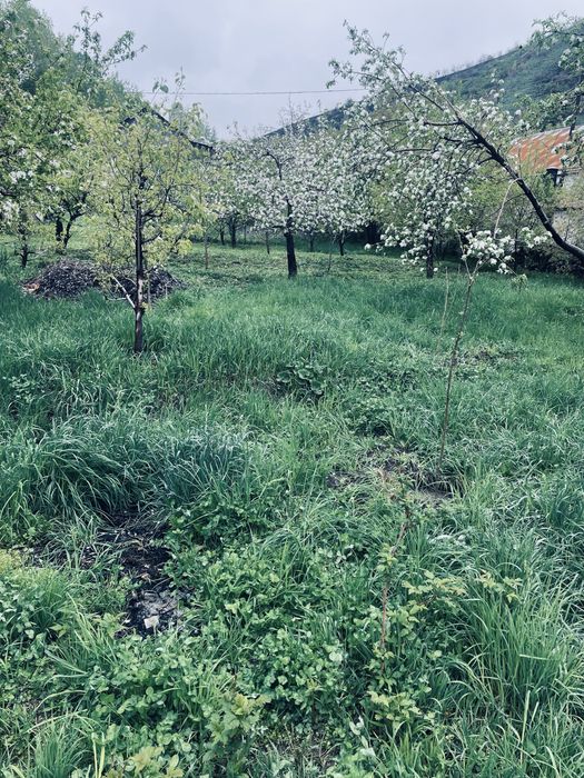 Участок 14 соток