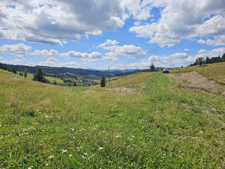 Teren de vanzare extravilan in Bucovina zona Breaza
