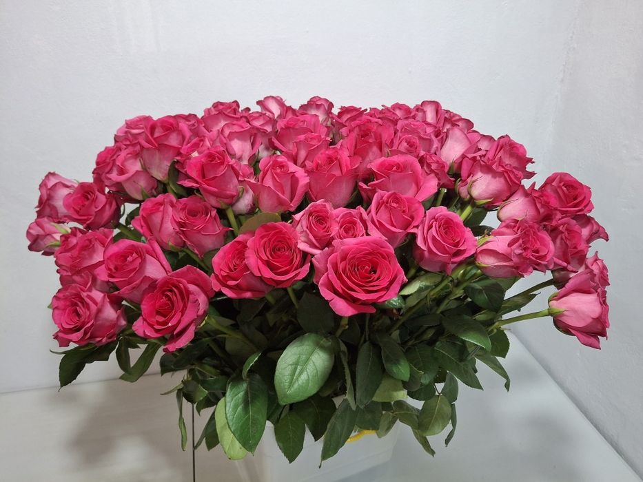 Цветы в ассортименте по оптовым ценам.