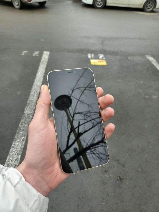 iPhone 12 Pro Max Gold