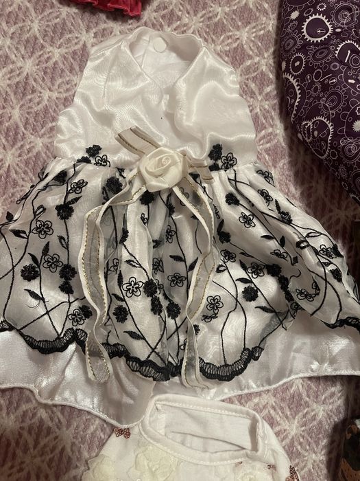 Одежда для собак мелких пород