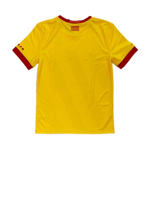 Tricou adidas  usap
