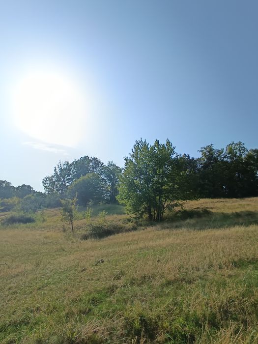 Teren  cu schiță topografica