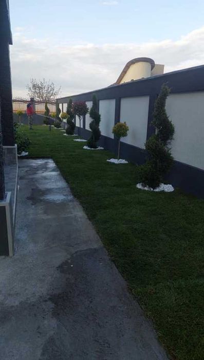 Gazon Rulou Profesional pentru Curți și Terenuri
