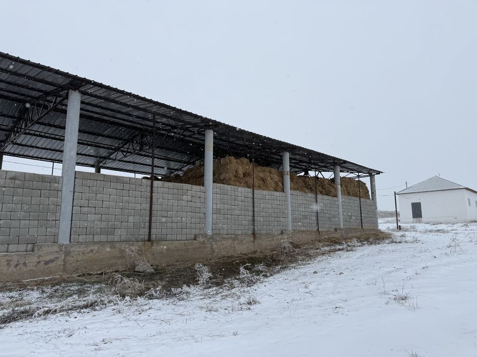 Арпа сабан, тюк, жонышка