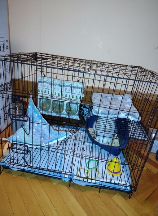 Клетка за заек или котка