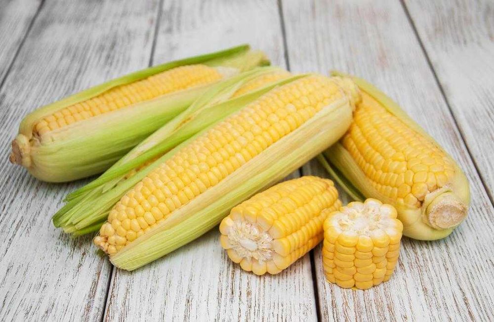 Кукуруза сьедобная
