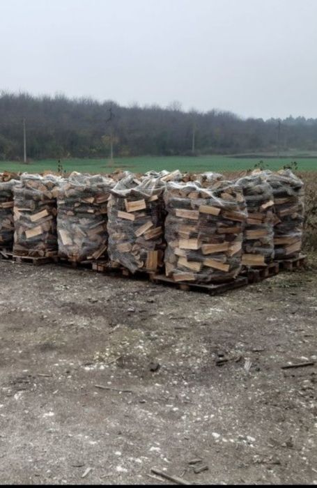 Lemne de foc fag uscat