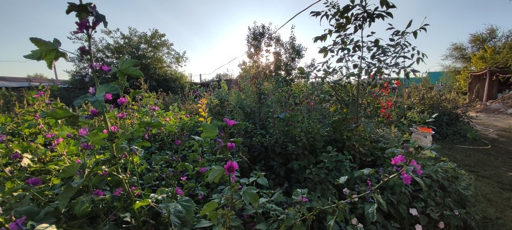 СРОЧНО! Продается  частный дом! Возможен обмен!