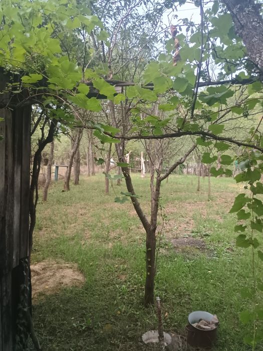 Teren la 2km de Deva