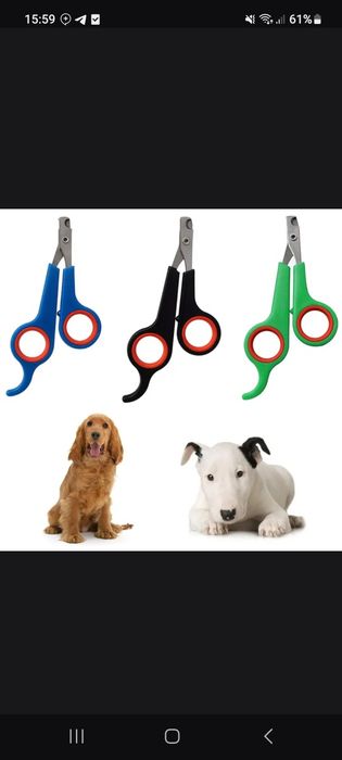 Ошейник для собаки светящийся