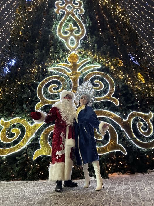 Дед Мороз и Снегурочка на дом