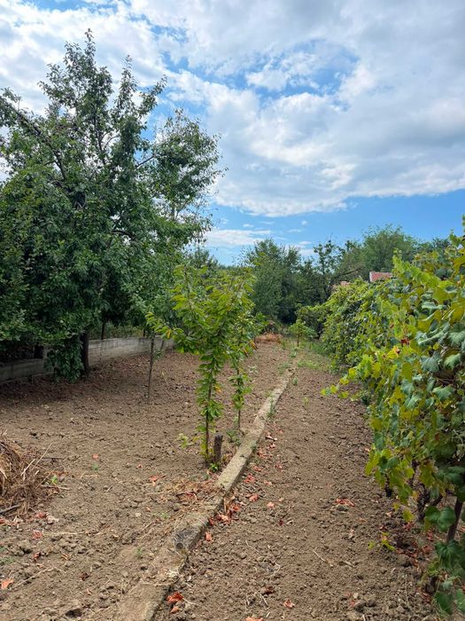 Proprietate deosebită / Casă de vacanță în Pârscov, Buzău – 213 mp utili, teren 1068 mp, livadă și anexe