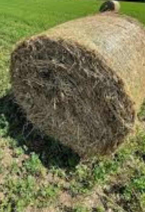 Vand baloți rotunzi