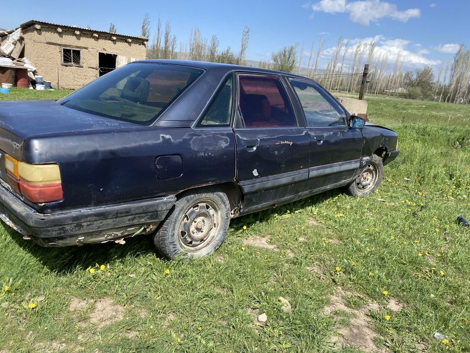 Ауди 100 алам деушілер болса