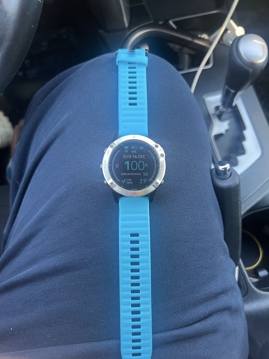 Garmin Fenix 6