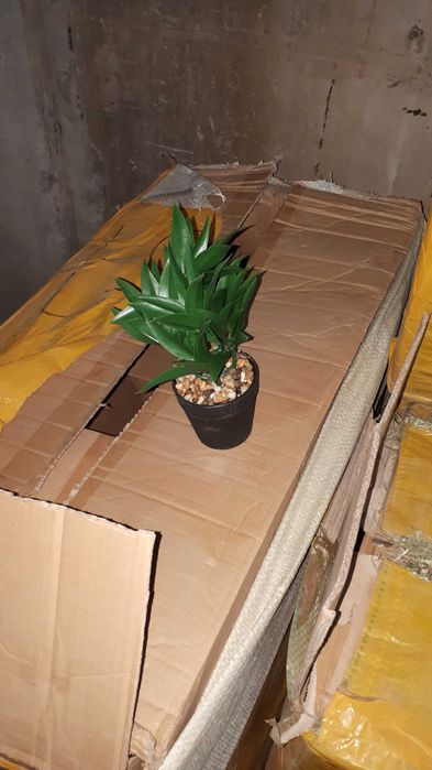 Продам искусственные растения ИКЕА