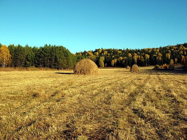 Земельный участок