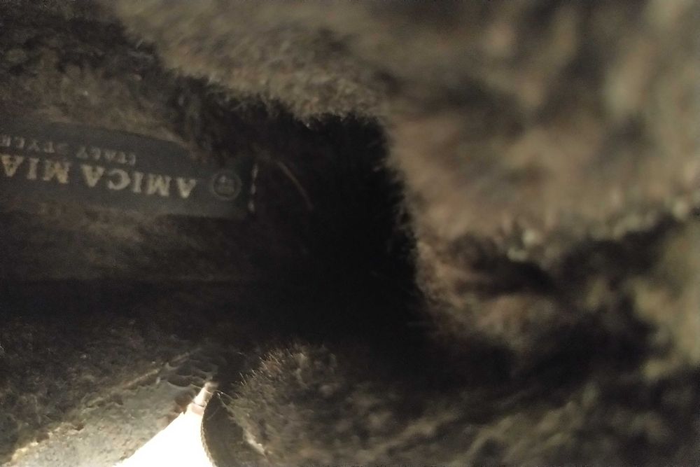 Дамски ботуши кафеви