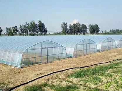 ТЕПЛИЦА по доступной цене акция