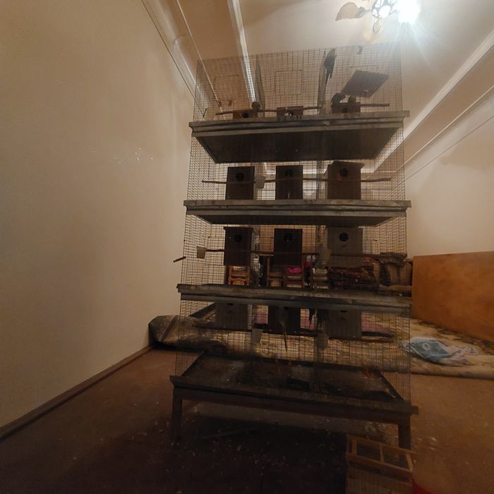 Kletka sotiladi. 12 parga mojalangan totmali ortasi tosilgan 1 milon