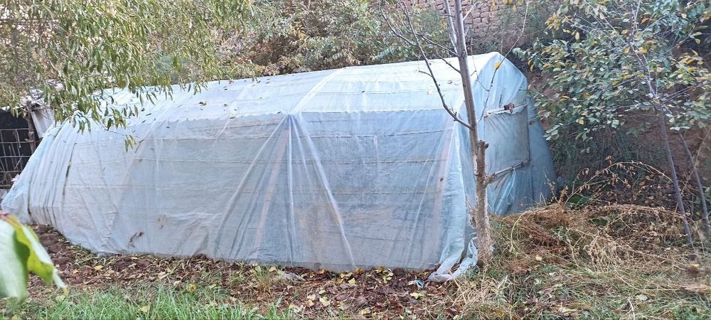 Ховли жой сотилади 13 сотихли