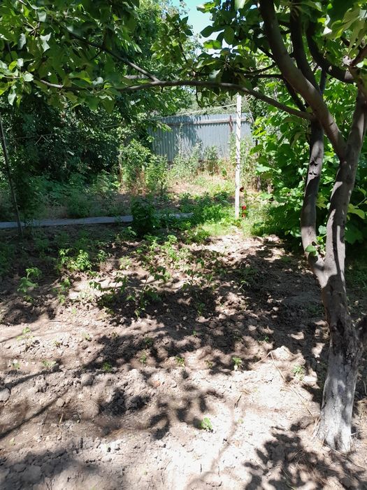 Дом кайнар булак дача