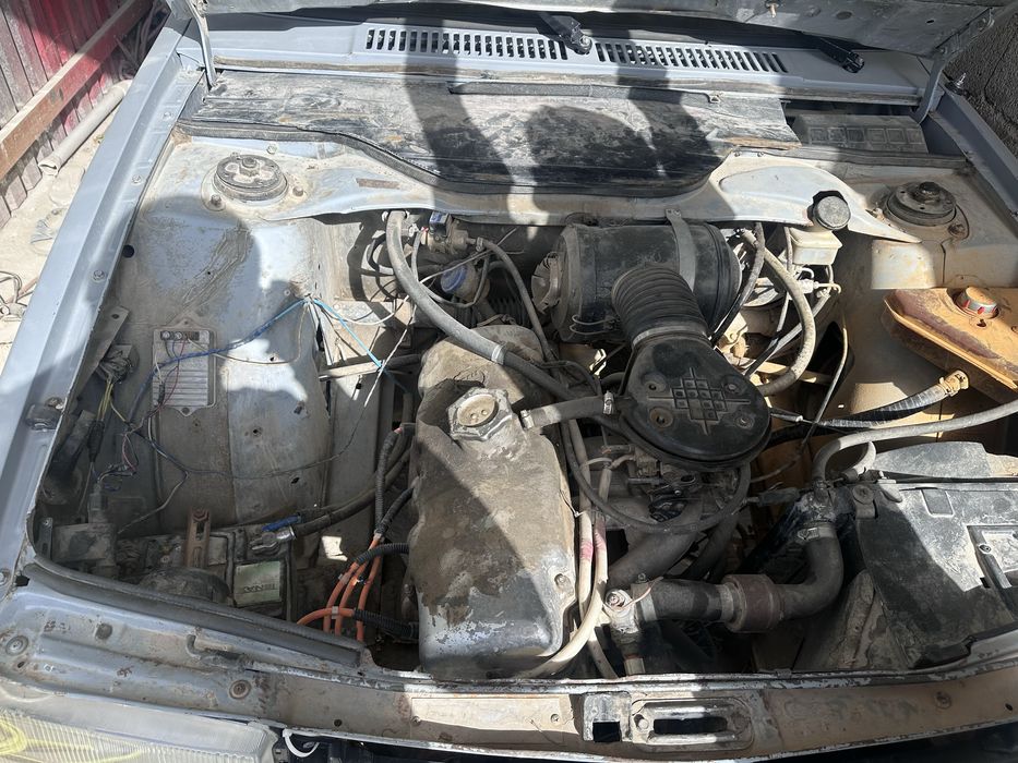 Maskivich 2141 zoʻr bir joyi chirimagan