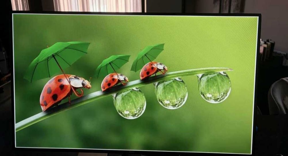 Монитор DELL 27 " IPS S2719H