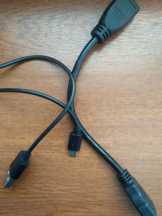 Playstation fleshkali