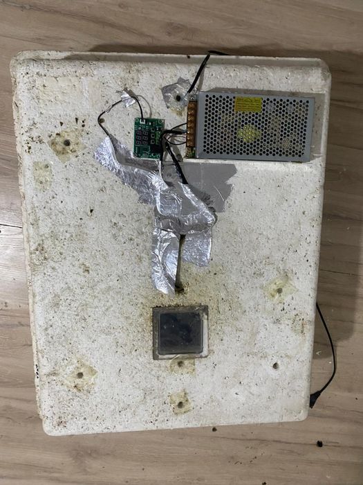 Несушка инкубатор