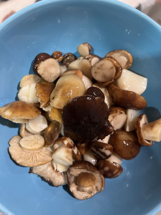 Валуи. Грибы. Грузди