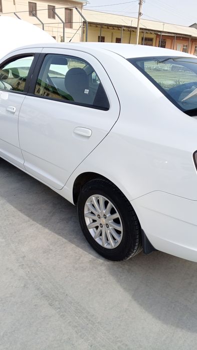 Cobalt at 2018 kraskasi 100 foiz toza uzimni moshiam