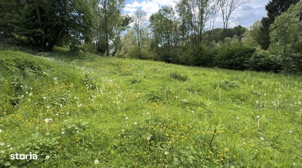 Teren și suprafață împădurită în comuna Provița de Sus - Prahova