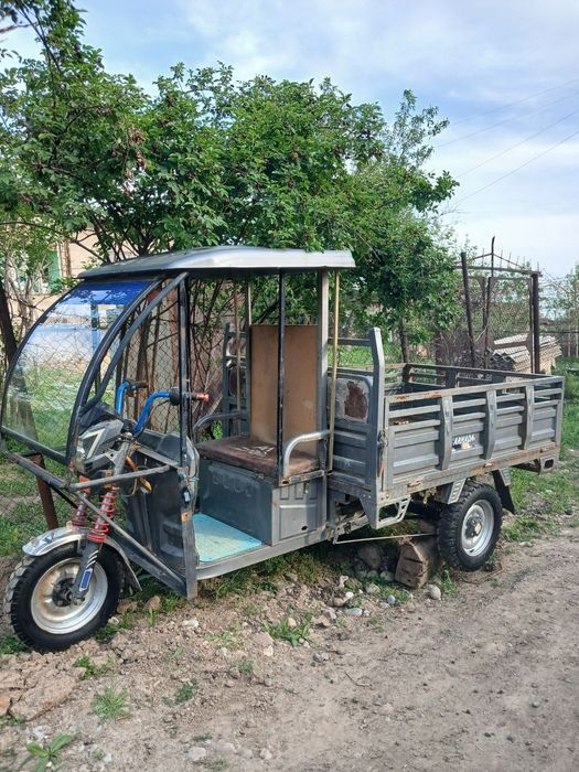 Тезда сотилади электро муравей