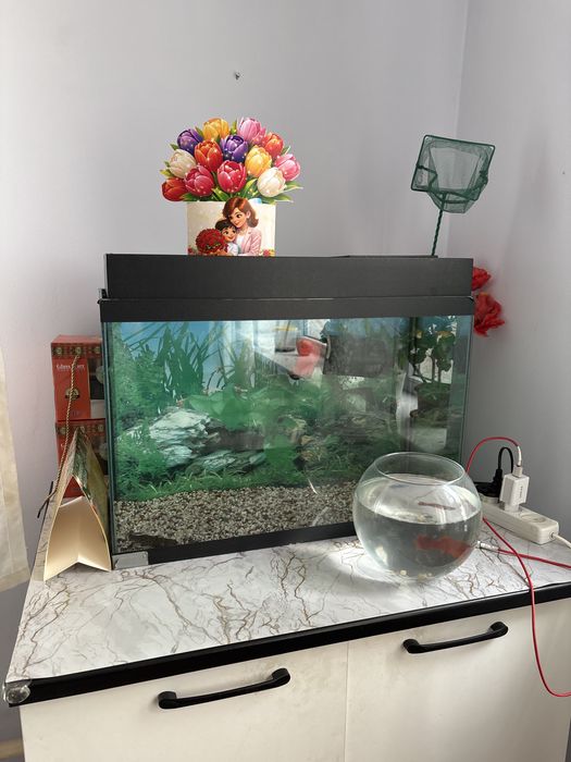 Продам аквариум с рыбками