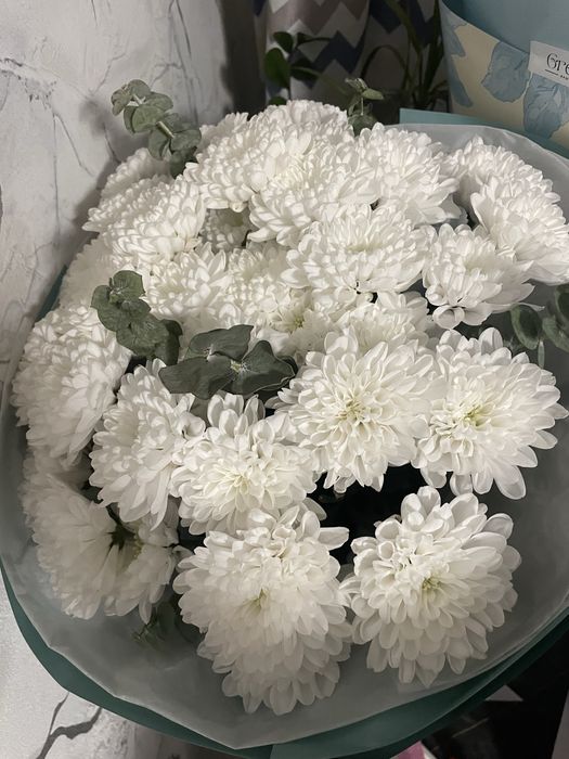 Продам цветы свежиые