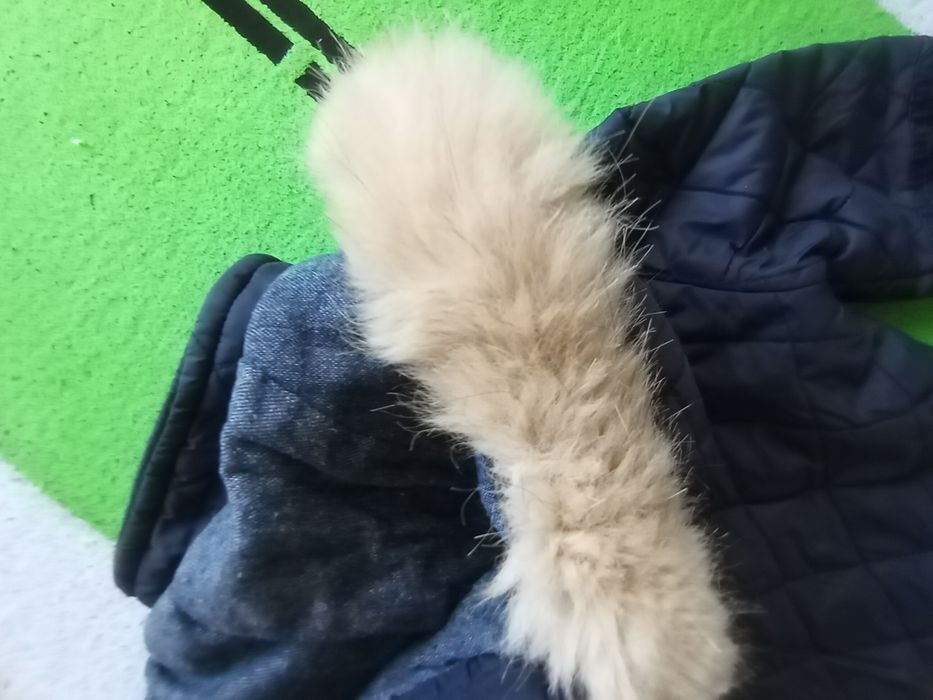 Марково якенце Зара