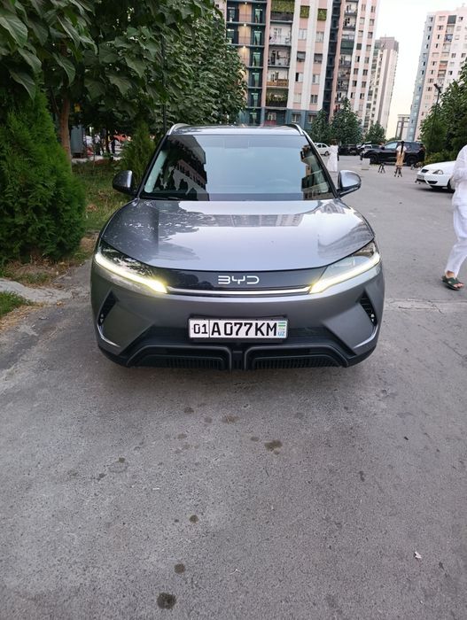 BYD yuan up sotiladi
