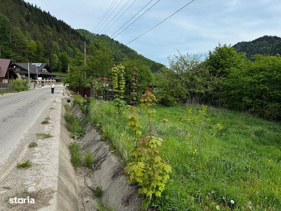 Terende vânzare  – 4.300 mp Brateș-Tarcău,Neamț-Potențial turistic