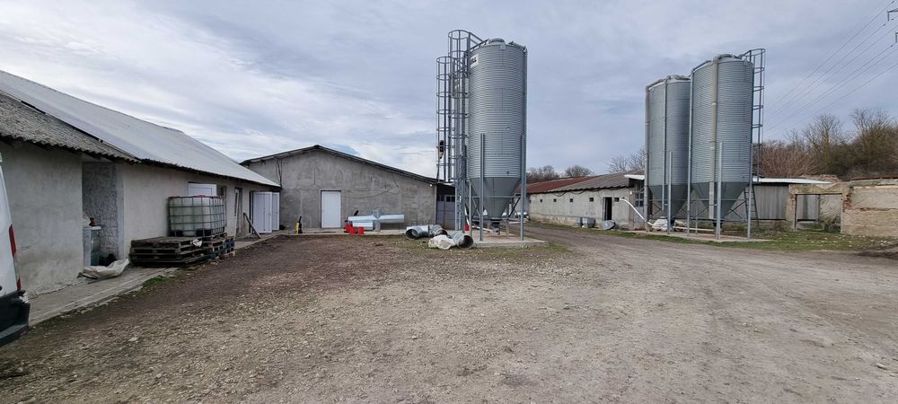 Продава се Промишлена сграда в с. Ушинци, Област Разград - 1620 кв.м за 189 €/кв.м - Снимка #6