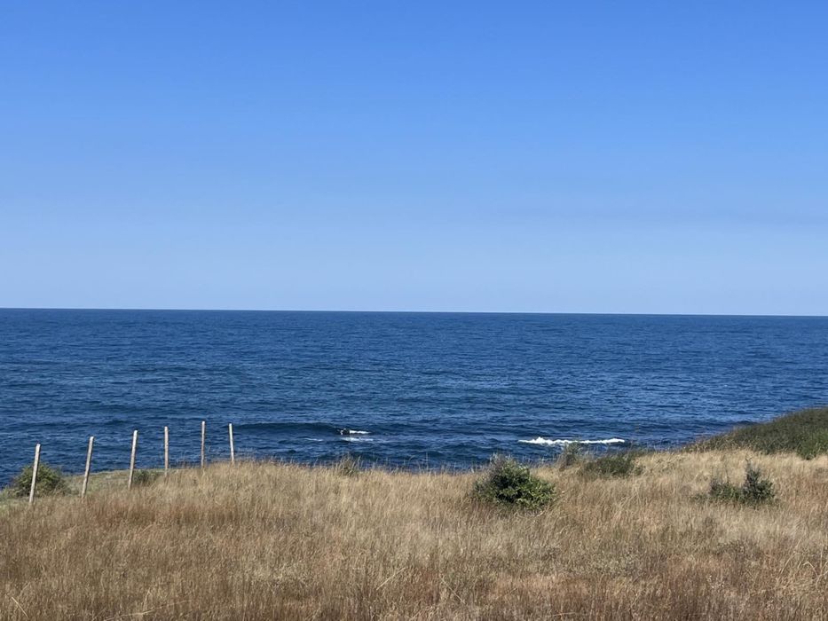 Продава се Земеделски имот в с. Варвара, Област Бургас -  кв.м за 60000 €/дка - Снимка #4