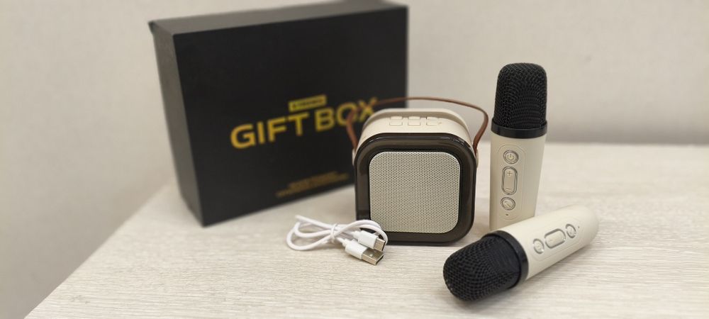 Mini колонка с 2-микрофонами