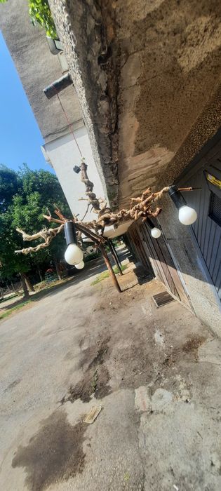 Уникален полилей