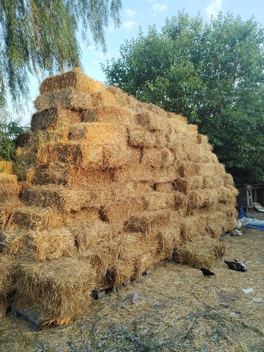 Vând baloți iarbă si de paie!