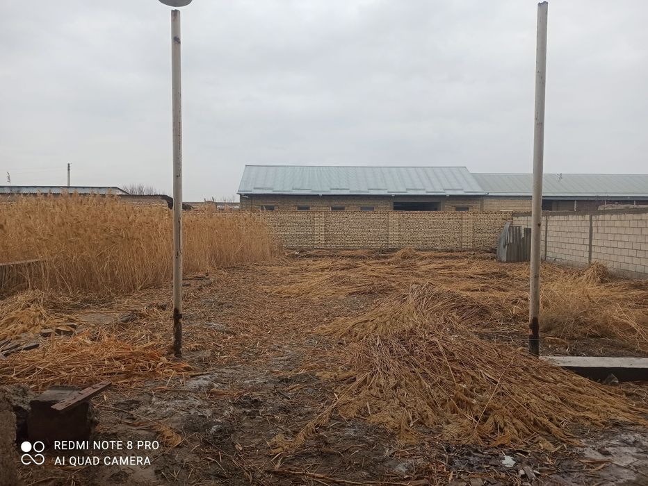 uchastka sotiladi CHORBAKR