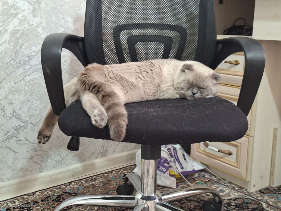 Вязка фолд колор поинт