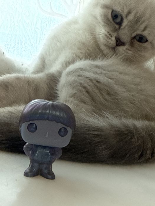 Продам уилла из изнанки