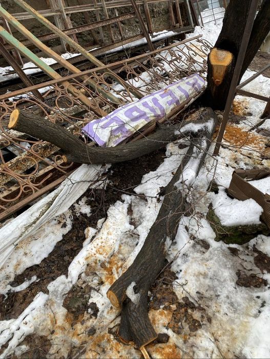 Отын тегин  беремин