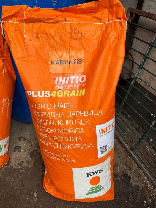 Sămânța de Porumb KWS